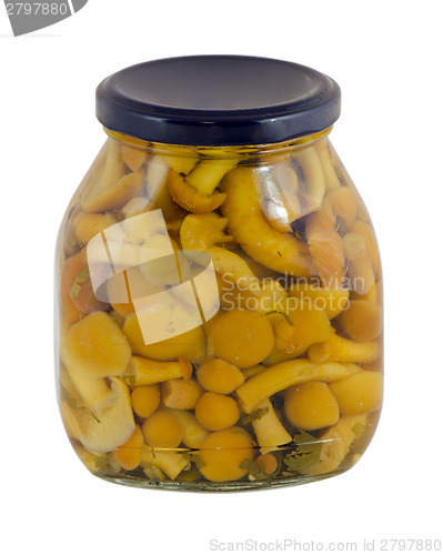 Image of jar canned honey fungus isolated white background 