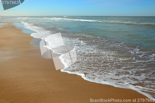 Image of Beach