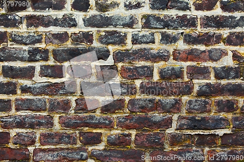 Image of Brick Wall