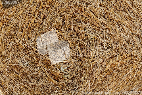 Image of Haystack