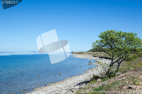 Image of Peaceful coastline with clear blue and calm water