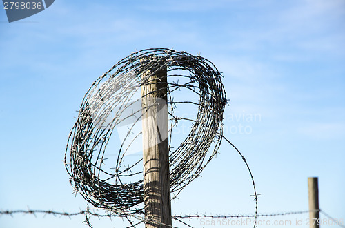 Image of Rural fence and a roll of barb wire