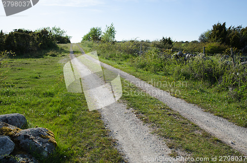 Image of Rural tracks in a green landscape by a fence and stonewall
