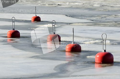 Image of red buoys in the frozen water