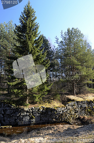 Image of abandoned channel ancient canal in the forest