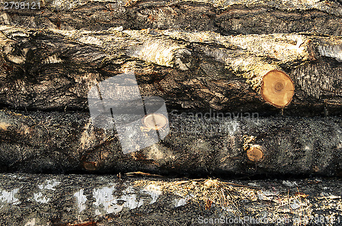 Image of stack of wood felled birch logs