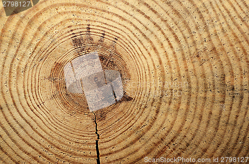Image of wooden circle with a split cut