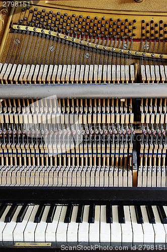 Image of inside the piano: string, pins, keys 