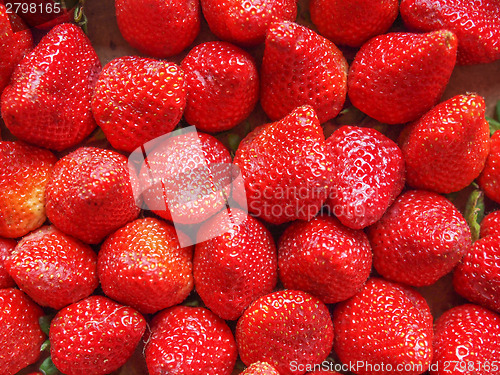 Image of Strawberries fruits