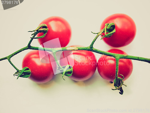 Image of Retro look Tomatoes