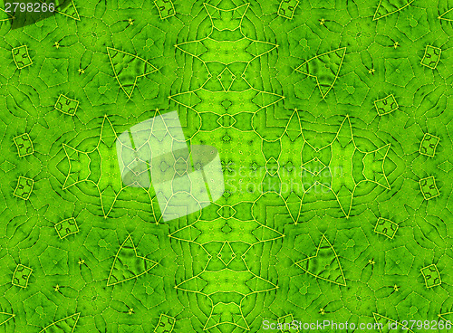 Image of Green leaf abstract pattern