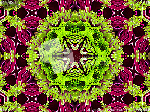 Image of Chrysanthemum natural pattern