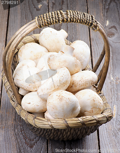 Image of Raw Champignons