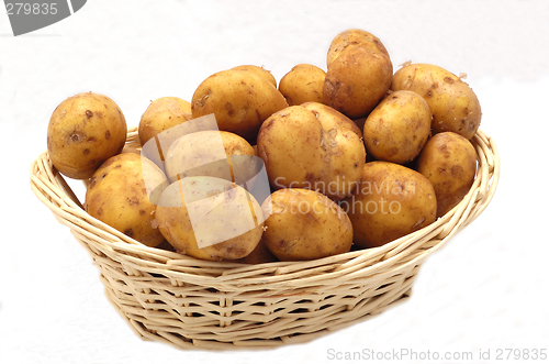 Image of Potatoes