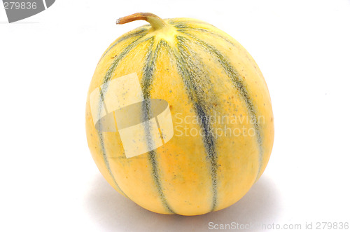 Image of Melon