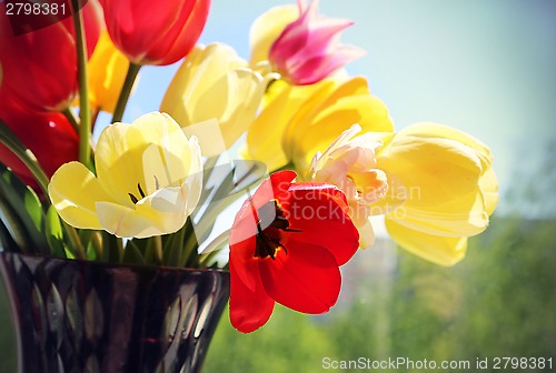 Image of Bouquet of colorful spring tulips in a vase