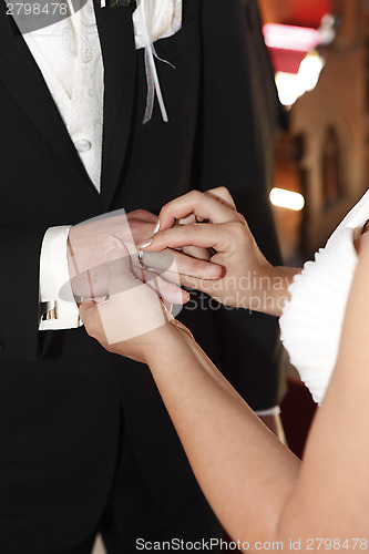 Image of Hands of a bride and groom