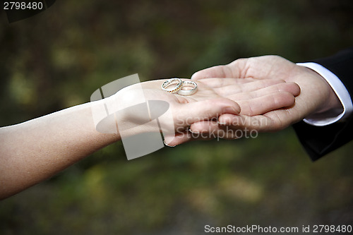 Image of Hands of a bride and groom