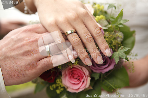 Image of Hands of a bride and groom