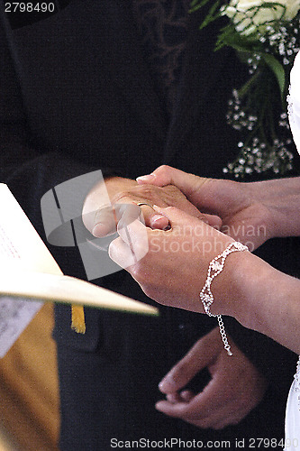 Image of Hands of a bride and groom