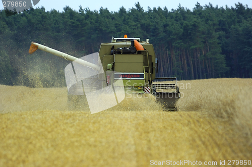 Image of corn earning time