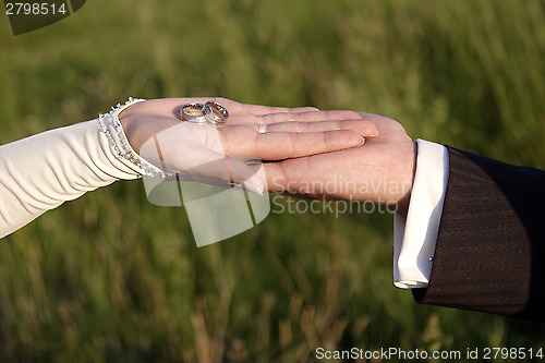 Image of Hands of a bride and groom