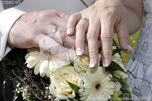 Image of Hands of a bride and groom