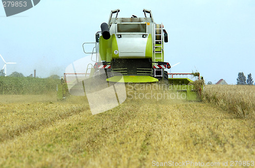 Image of Combine harvester corn earning