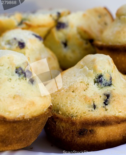 Image of Blueberry Muffins