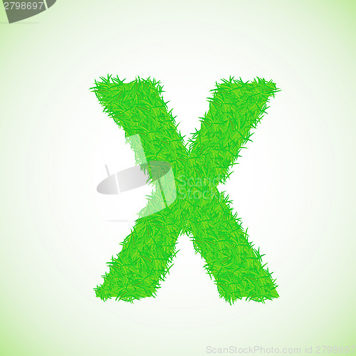 Image of grass letter X