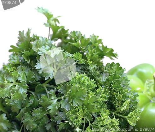 Image of Parsley