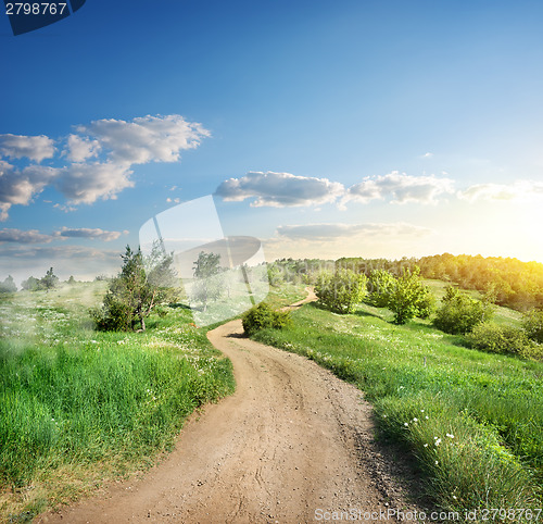 Image of Fog over the country road