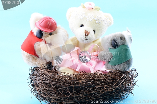Image of Nest with a toy Teddy Bear and two Koala
