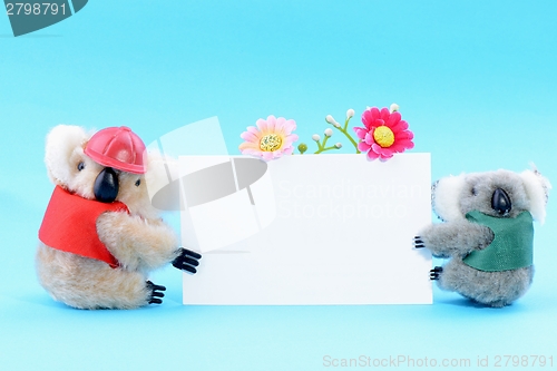 Image of Two toy koala holding a blank white card