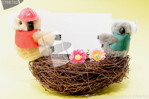 Image of Two toy koala holding a blank white card on a nest