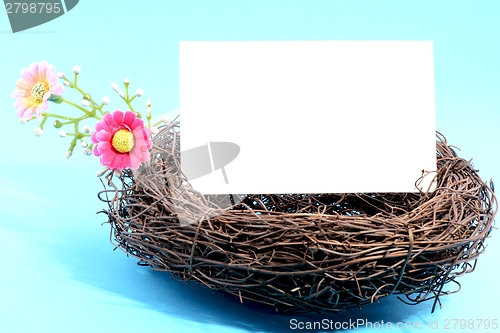 Image of Nest with a blank card