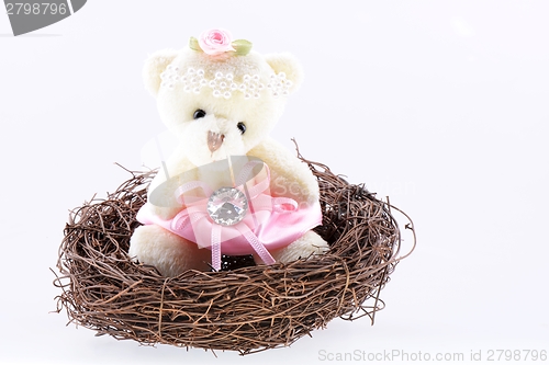 Image of Nest with a Teddy Bear