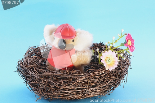 Image of Nest with a Toy Koala