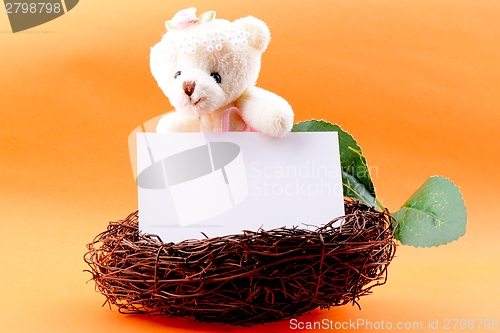 Image of Nest with a blank card and Teddy bear