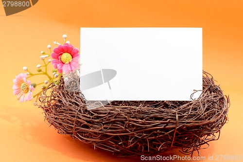 Image of Nest with a blank card