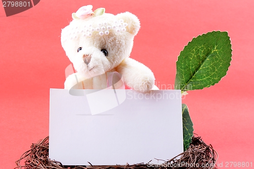 Image of Nest with a blank card and teddy bear
