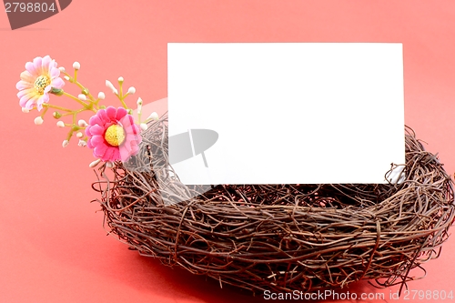 Image of Nest with a blank card