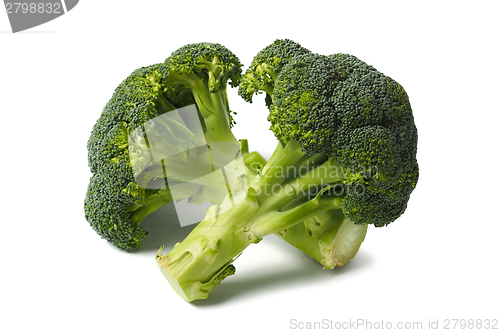 Image of Two broccolies on white