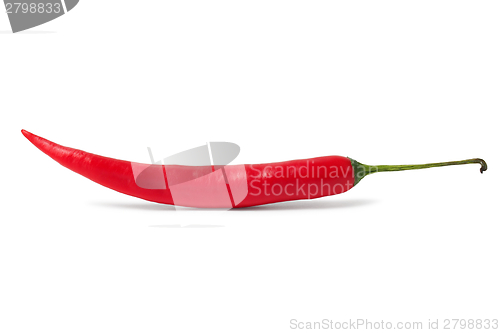 Image of Red hot chili pepper
