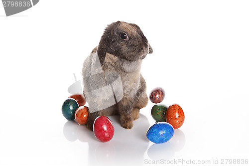 Image of Easter bunny with colorful eggs