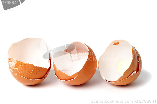 Image of Empty egg shells