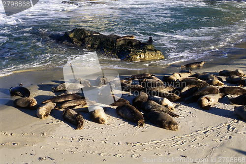 Image of California Seal