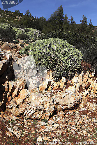 Image of Landscape in Morocco