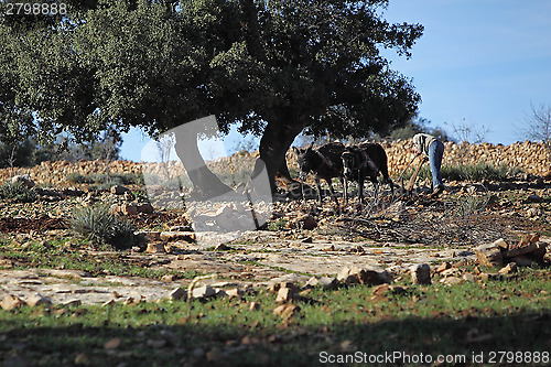 Image of Landscape in Morocco