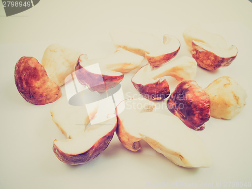Image of Retro look Porcini Mushroom